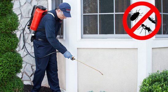 Sumbas Akrep İlaçlama böcek ilaçlama ve haşere kontrolü — ilaclama-tr.com